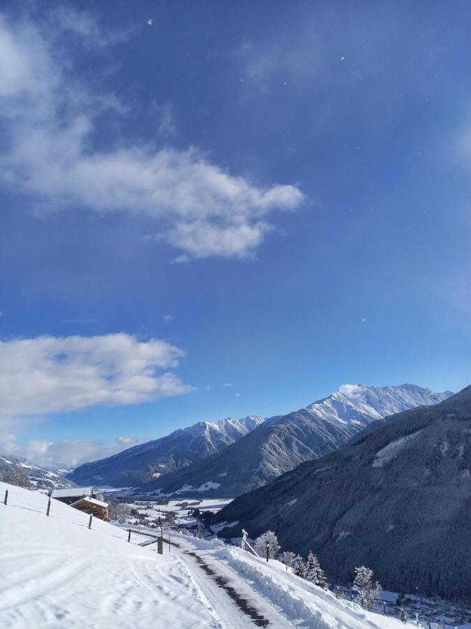 Appartement Reitlhof Wald im Pinzgau Dış mekan fotoğraf