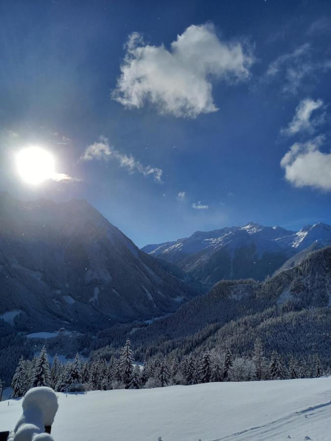 Appartement Reitlhof Wald im Pinzgau Dış mekan fotoğraf