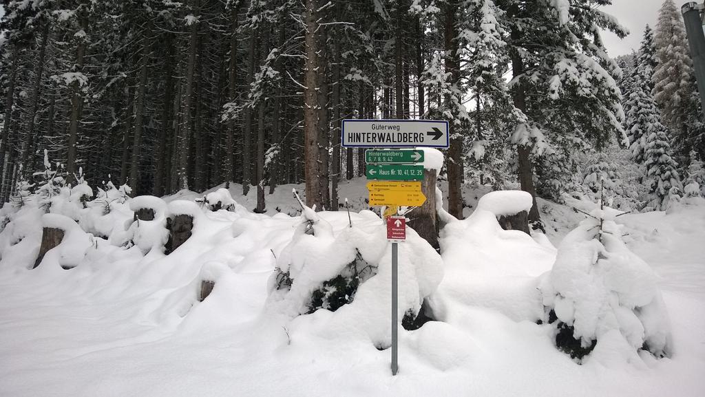 Appartement Reitlhof Wald im Pinzgau Dış mekan fotoğraf